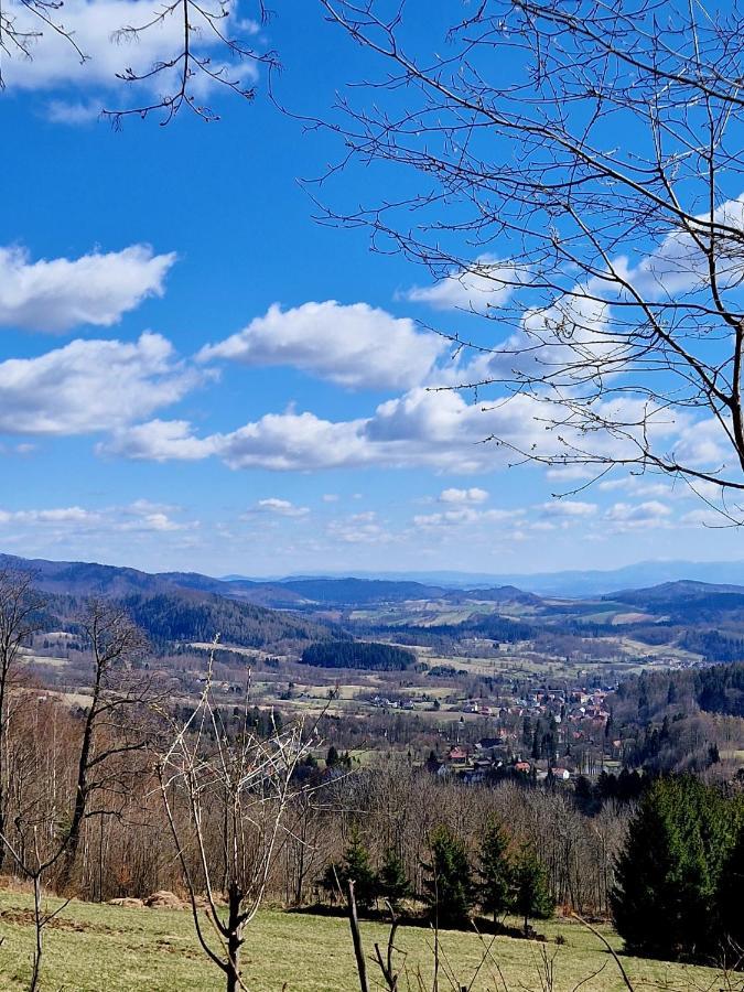 Apartament Mountains Gory Sowie Jugow Bagian luar foto